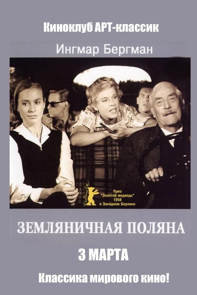 Земляничная поляна (16+)