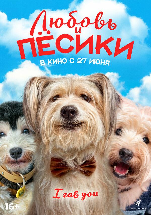 Любовь и пёсики (16+)