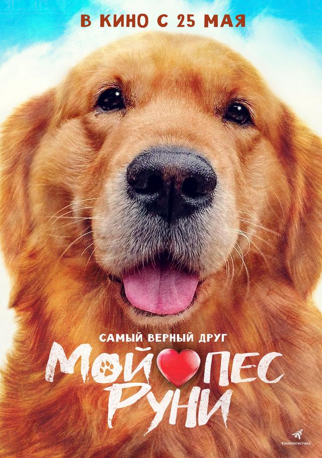 Мой пес Руни  (12+)